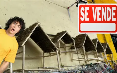 ¿Cuánto cuesta armar un nacimiento navideño para el hogar? Estos son los precios en Mérida