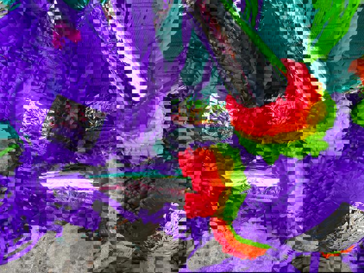 imagen-cuerpo imagen-cuerpo