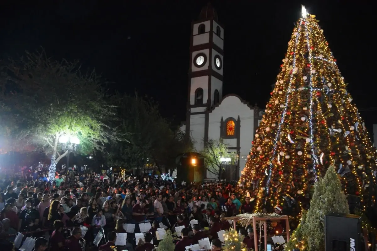 Monumental pini navideño de Ciudad Victoria. Foto: Carlos García