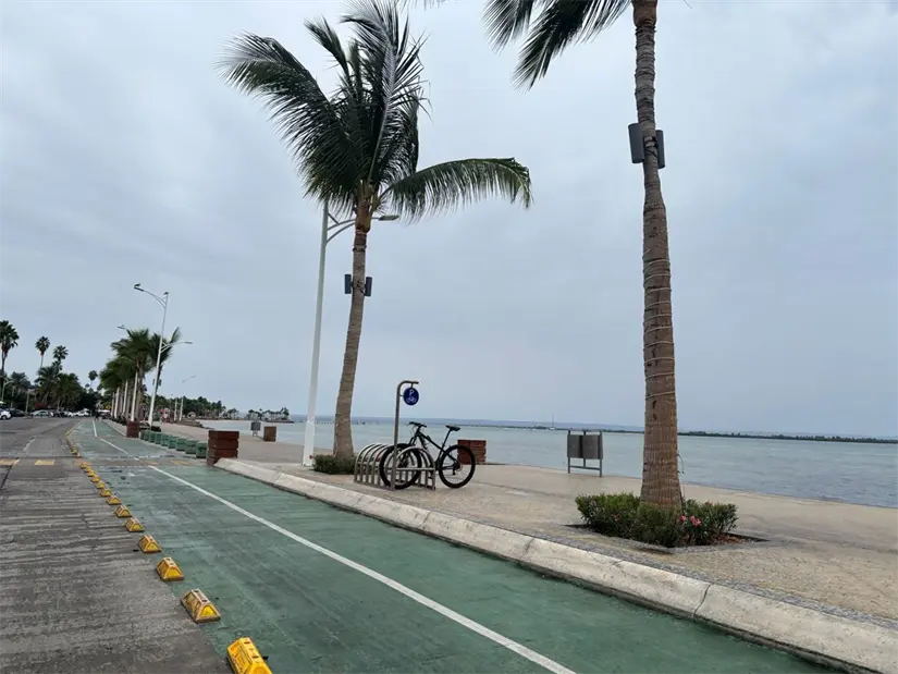 Foto: Héctor Romero / POSTA Baja California Sur. 