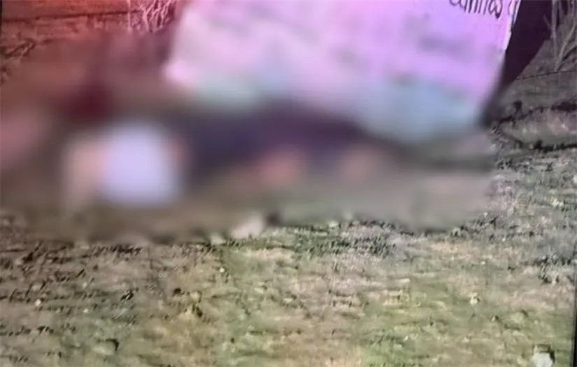 Foto: Leonardo Rondero