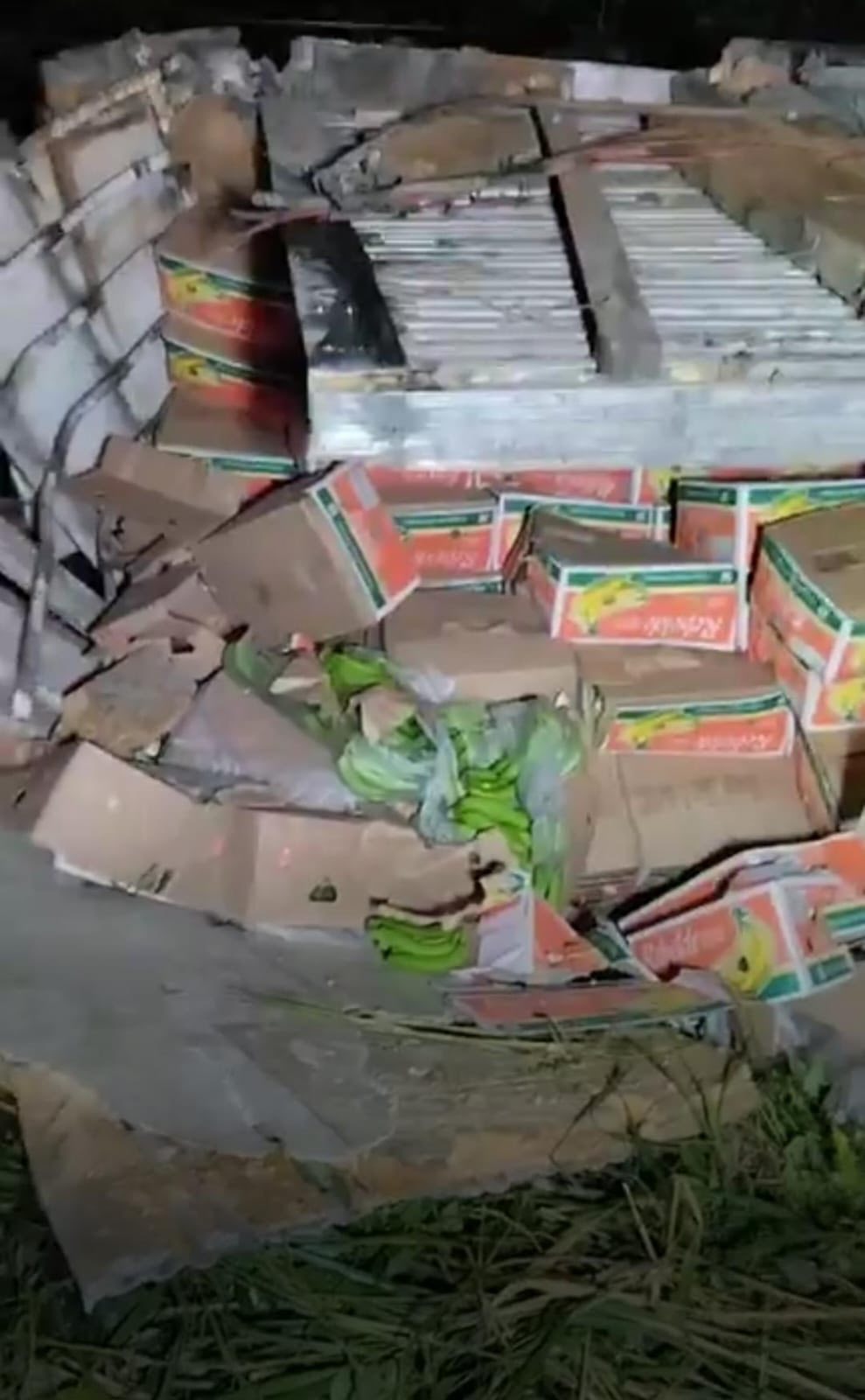 imagen-cuerpo imagen-cuerpo