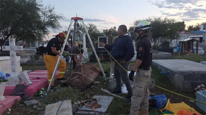 De acuerdo con los primeros reportes, personas que transitaban por el lugar detectaron la presencia del animal dentro de la cavidad y alertaron a las autoridades. Foto: Protección Civil de Montemorelos.