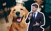 Samuel García refuerza penas contra el maltrato animal con una reforma al Código Penal en Nuevo León Samuel García refuerza penas contra el maltrato animal con una reforma al Código Penal en Nuevo León