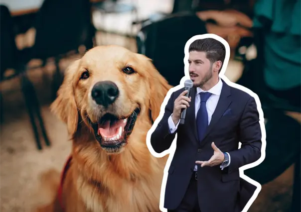 Samuel García refuerza penas contra el maltrato animal con una reforma al Código Penal en Nuevo León