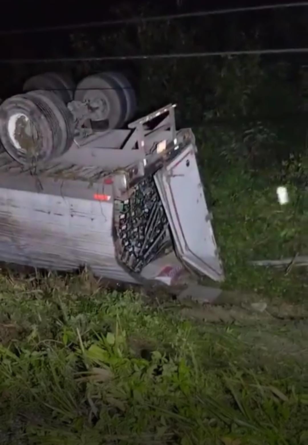 imagen-cuerpo imagen-cuerpo