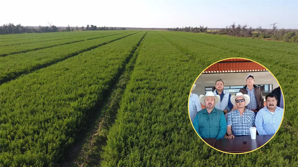 Productores de Comondú exigen claridad en la nueva Ley de Aguas