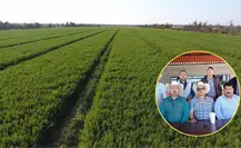 Productores de Comondú exigen claridad en la nueva Ley de Aguas