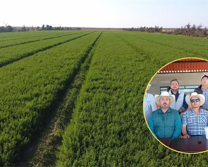 Productores de Comondú exigen claridad en la nueva Ley de Aguas