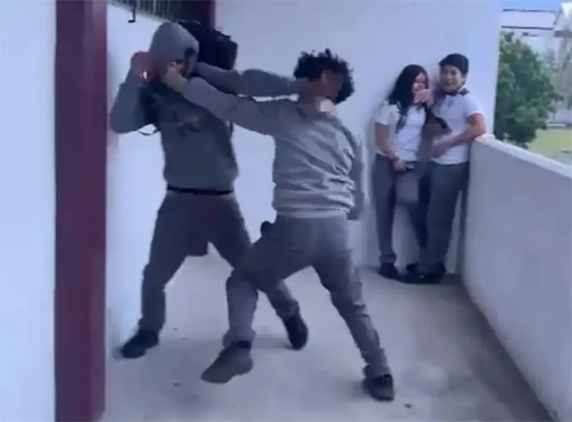 imagen recuadro imagen recuadro