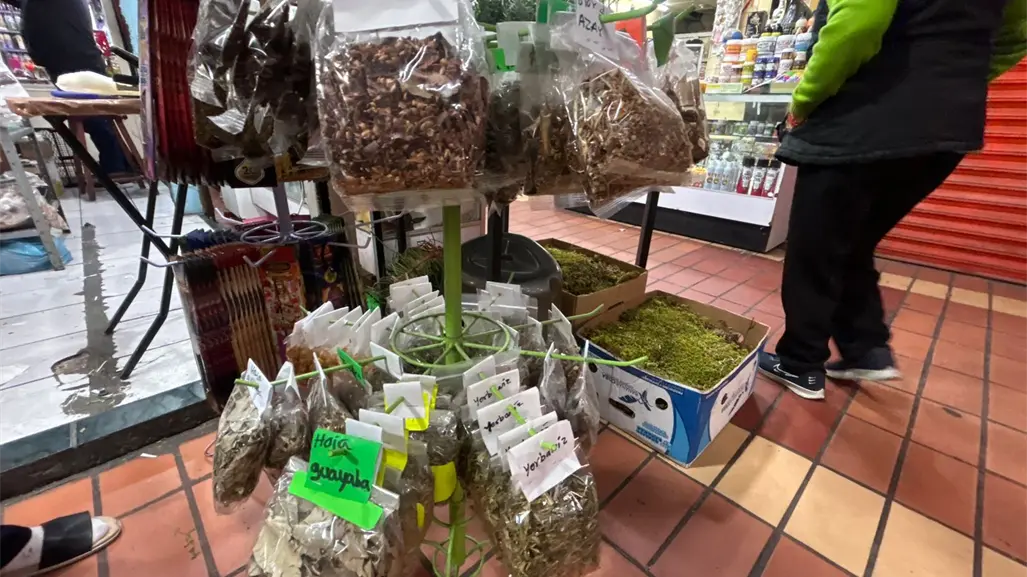 Remedios naturales y memoria familiar: La esencia de las hierberías en Monterrey