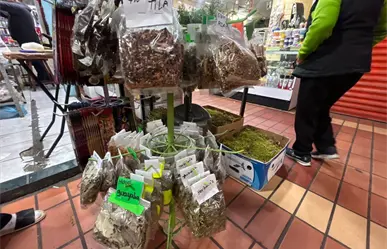 Remedios naturales y memoria familiar: La esencia de las hierberías en Monterrey