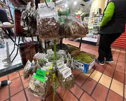 Remedios naturales y memoria familiar: La esencia de las hierberías en Monterrey