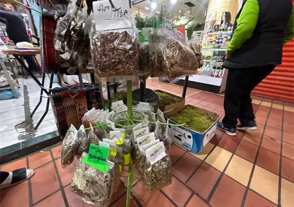 Remedios naturales y memoria familiar: La esencia de las hierberías en Monterrey