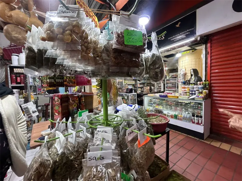Las hierberías en Monterrey representan una alternativa familiar que conecta a la comunidad con la naturaleza y la medicina tradicional. Foto: Rosy Sandoval