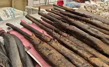 ¿Conocías estos platillos exóticos de Tabasco?