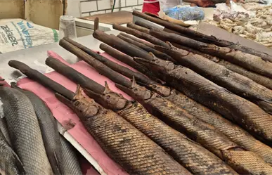 ¿Conocías estos platillos exóticos de Tabasco?