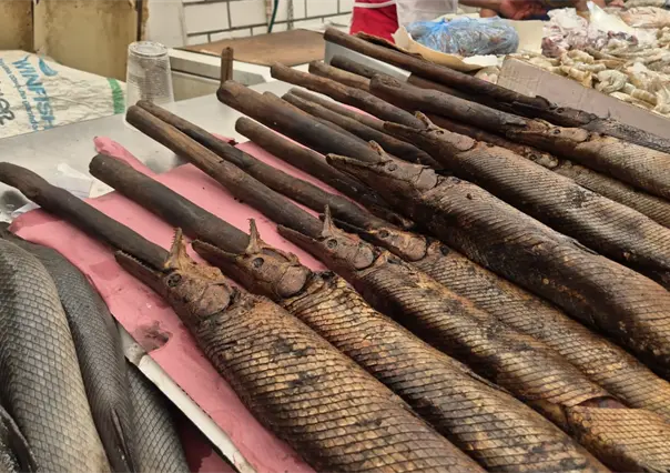 ¿Conocías estos platillos exóticos de Tabasco?