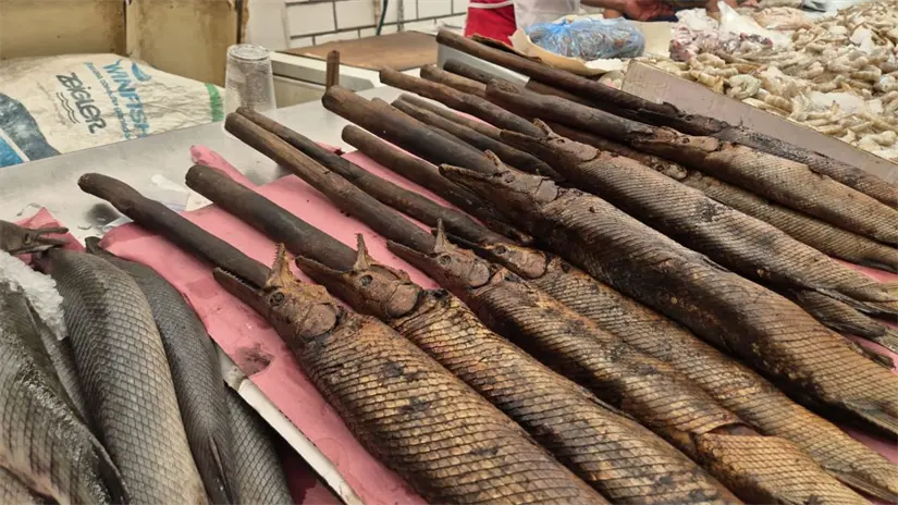 Este platillo se considera un manjar de Tabasco. Foto: Armando de la Rosa