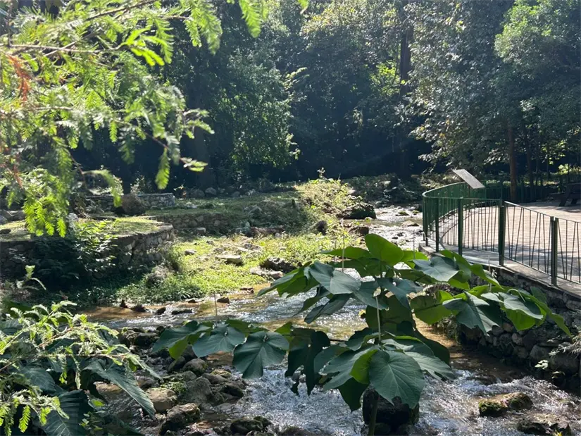 El impresionante entorno de la Cola de Caballo ha hecho de este lugar un sitio preferido para bodas y celebraciones únicas. Foto: Diego Ovalle