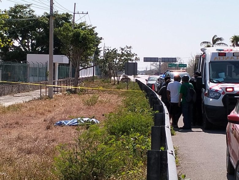 imagen-cuerpo imagen-cuerpo