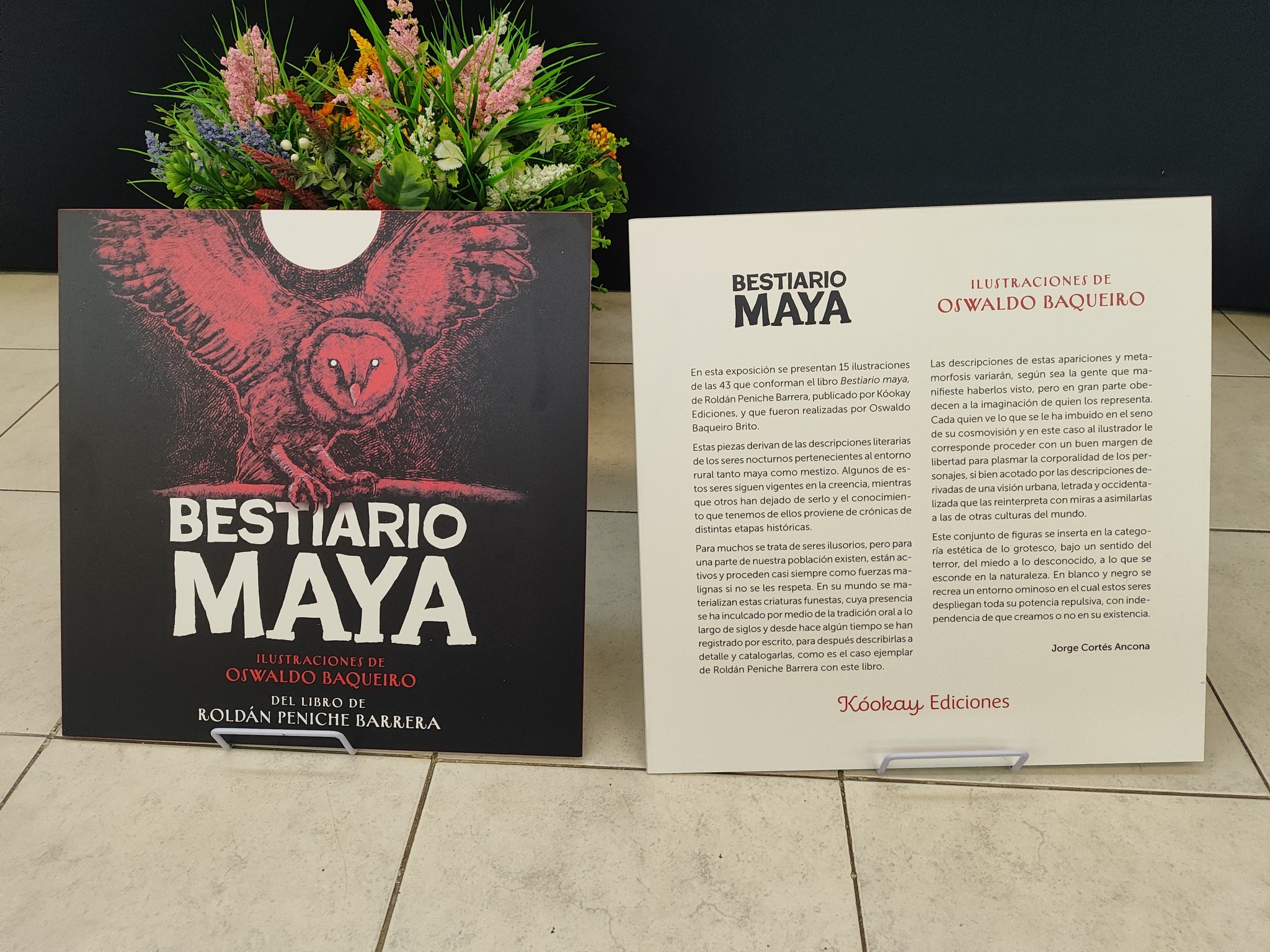 imagen-cuerpo imagen-cuerpo