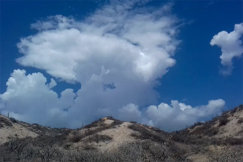 imagen recuadro Foto: Modesto Peralta Delgado.