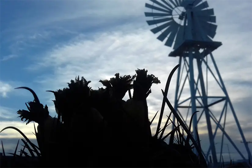 imagen recuadro Foto: Modesto Peralta Delgado.