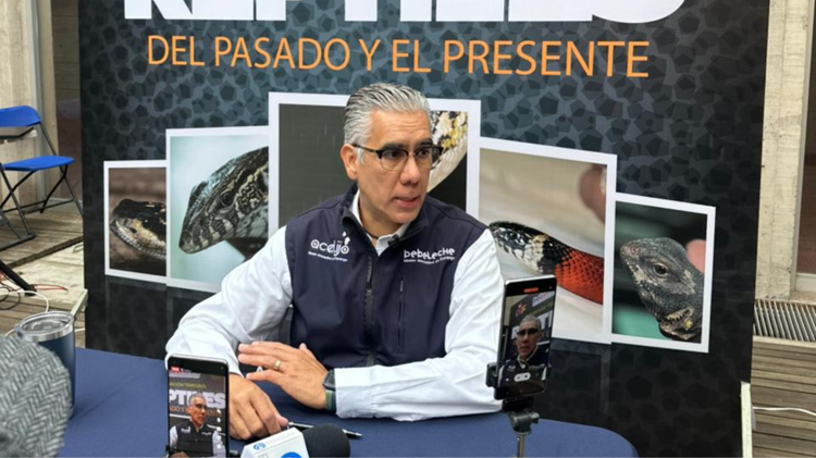 imagen-cuerpo imagen-cuerpo