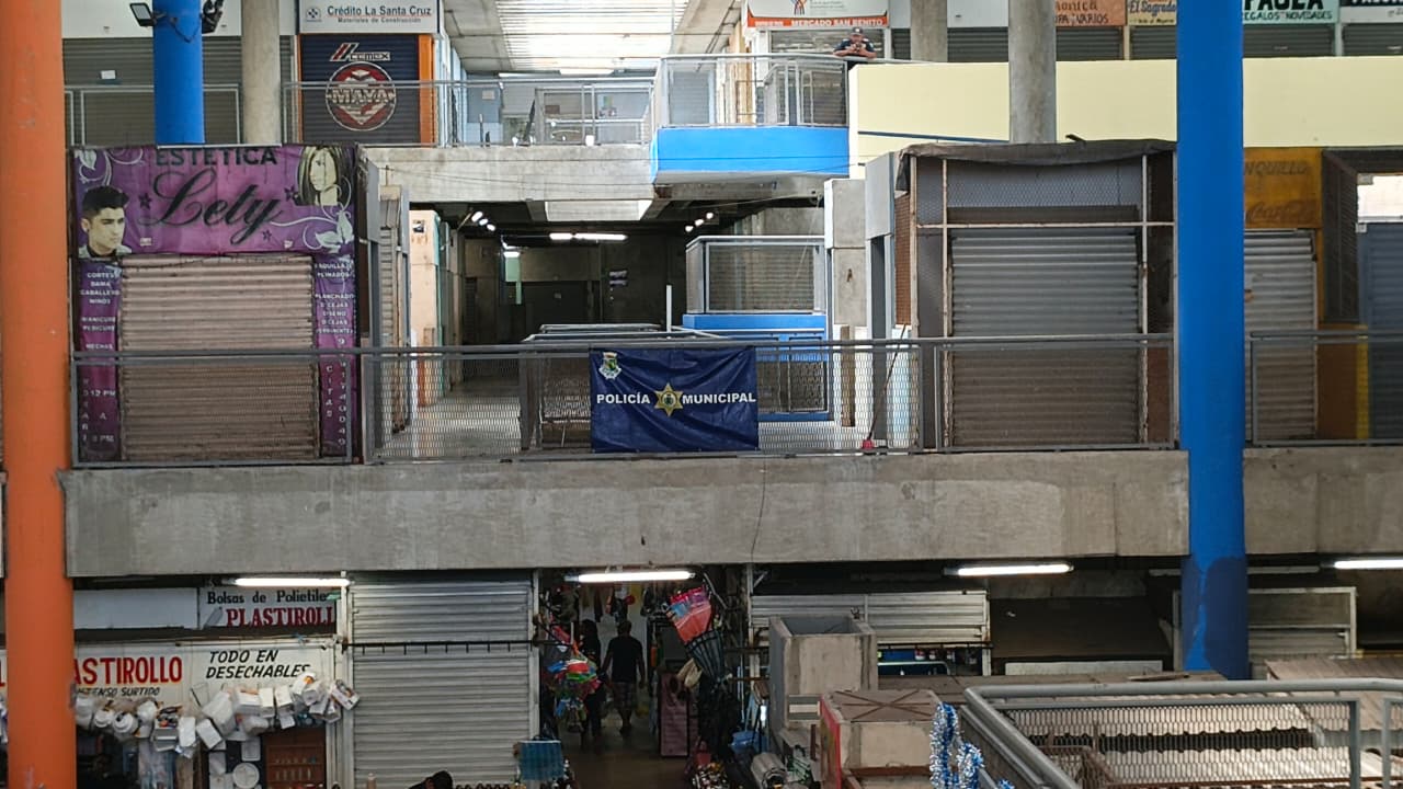 imagen-cuerpo imagen-cuerpo