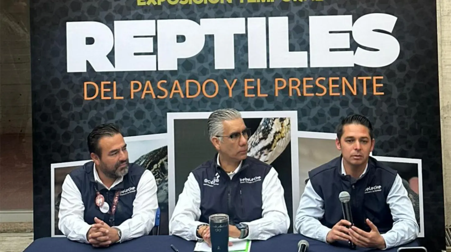 El Museo Bebeleche cuenta con una nueva exposición temporal. | Foto: Facebook Museo Bebeleche.