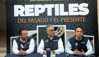 Museo Bebeleche anuncia exposición para los amantes de estos increíbles animales