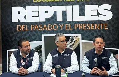 Museo Bebeleche anuncia exposición para los amantes de estos increíbles animales