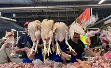 Navidad en Yucatán 2025: ¿Cuánto costará el pavo para esta Navidad en Mérida?