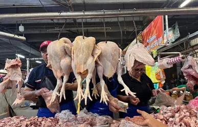 Navidad en Yucatán 2025: ¿Cuánto costará el pavo para esta Navidad en Mérida?