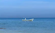 Yucatán presentó el primer Plan de Acción Climática para la Pesca y la Acuacultura en México