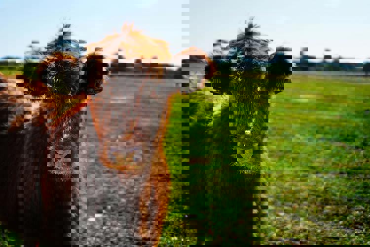 imagen-cuerpo imagen-cuerpo