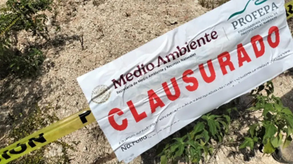 Profepa clausura proyecto minero de Holcim en Calakmul, Campeche, por irregularidades detectadas