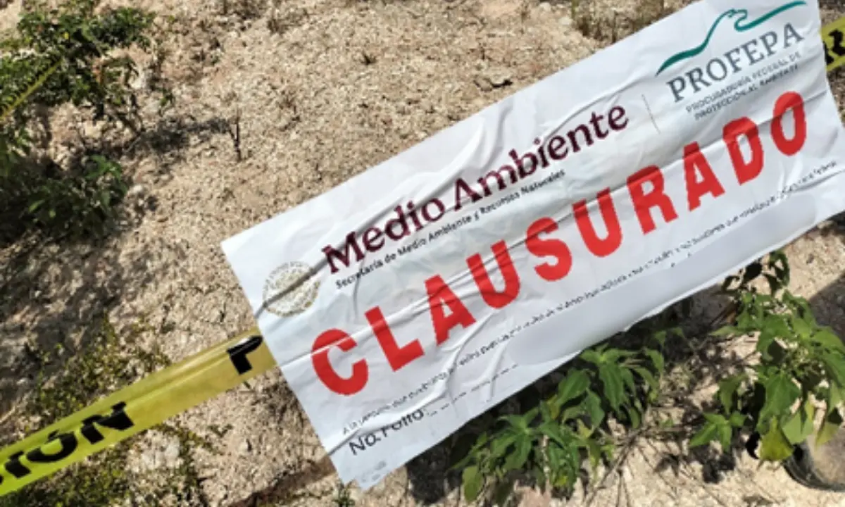 Sellos de clausura en un predio de Calakmul, Campeche Foto: Profepa