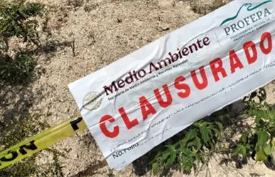 Profepa clausura proyecto minero de Holcim en Calakmul, Campeche, por irregularidades detectadas