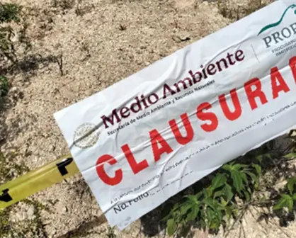 Profepa clausura proyecto minero de Holcim en Calakmul, Campeche, por irregularidades detectadas