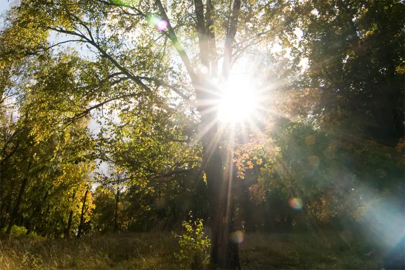 imagen recuadro Foto: Freepik