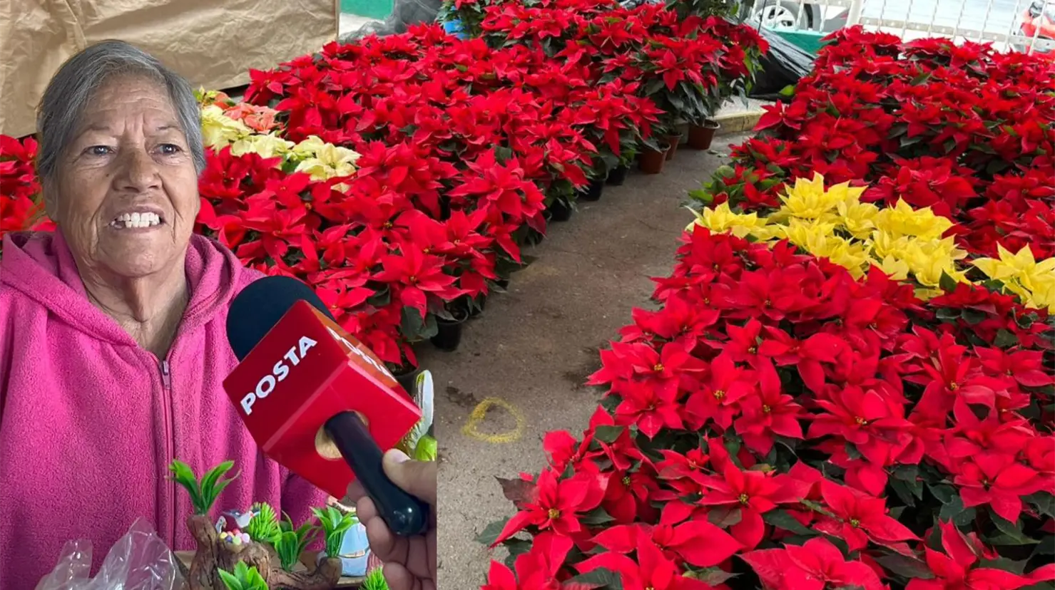Ramona de la Rosa, venddedora en el mercadito navideño de la CTM. (Leslie Delgado)