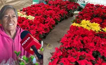 Navidad 2025 en Saltillo: ¿Qué ofrece este año el tradicional mercadito de la CTM? Navidad 2025 en Saltillo: ¿Qué ofrece este año el tradicional mercadito de la CTM?