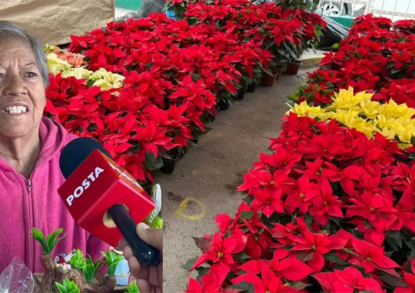 Navidad 2025 en Saltillo: ¿Qué ofrece este año el tradicional mercadito de la CTM?