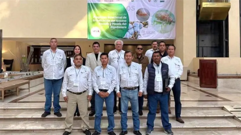 El la reunión destacó la importancia del cabio técnico-científico y la movilidad de plagas en el cultivo | Foto: Secretaría de Desarrollo Rural, Pesca y Acuacultura