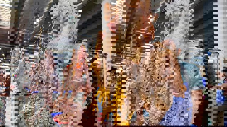 imagen-cuerpo imagen-cuerpo