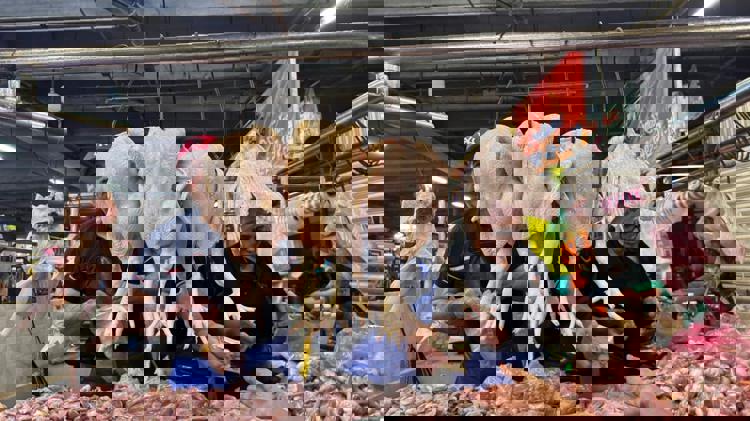 imagen-cuerpo imagen-cuerpo