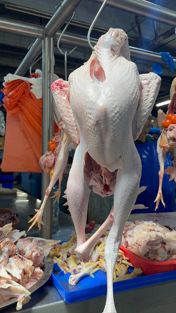 imagen-cuerpo imagen-cuerpo