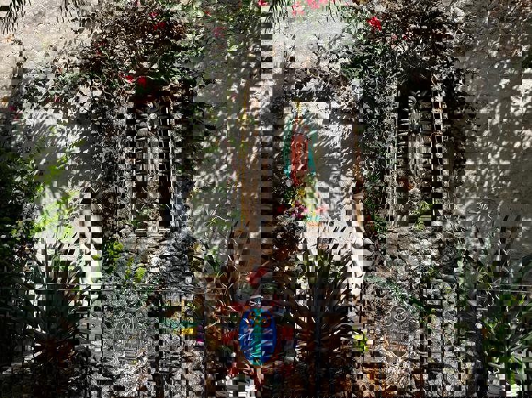 imagen-cuerpo imagen-cuerpo